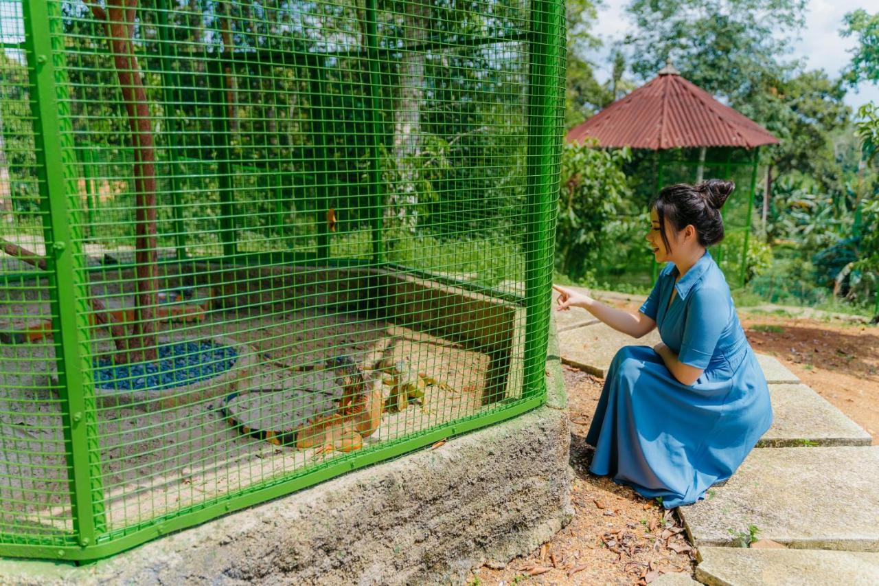 De Bintan Villa Tenaga Bagian luar foto